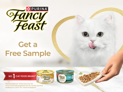 AOA_PU_SG_FF_Q4 Masterbrand Campaign