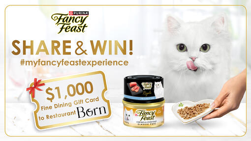 Share to win