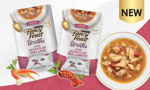 Fancy Feast Broths