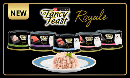 Fancy Feast Royale