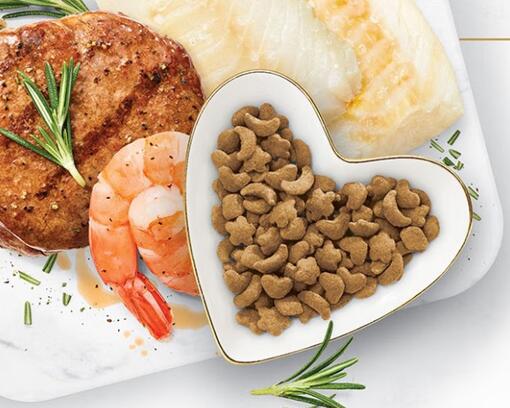 FF Dry Food