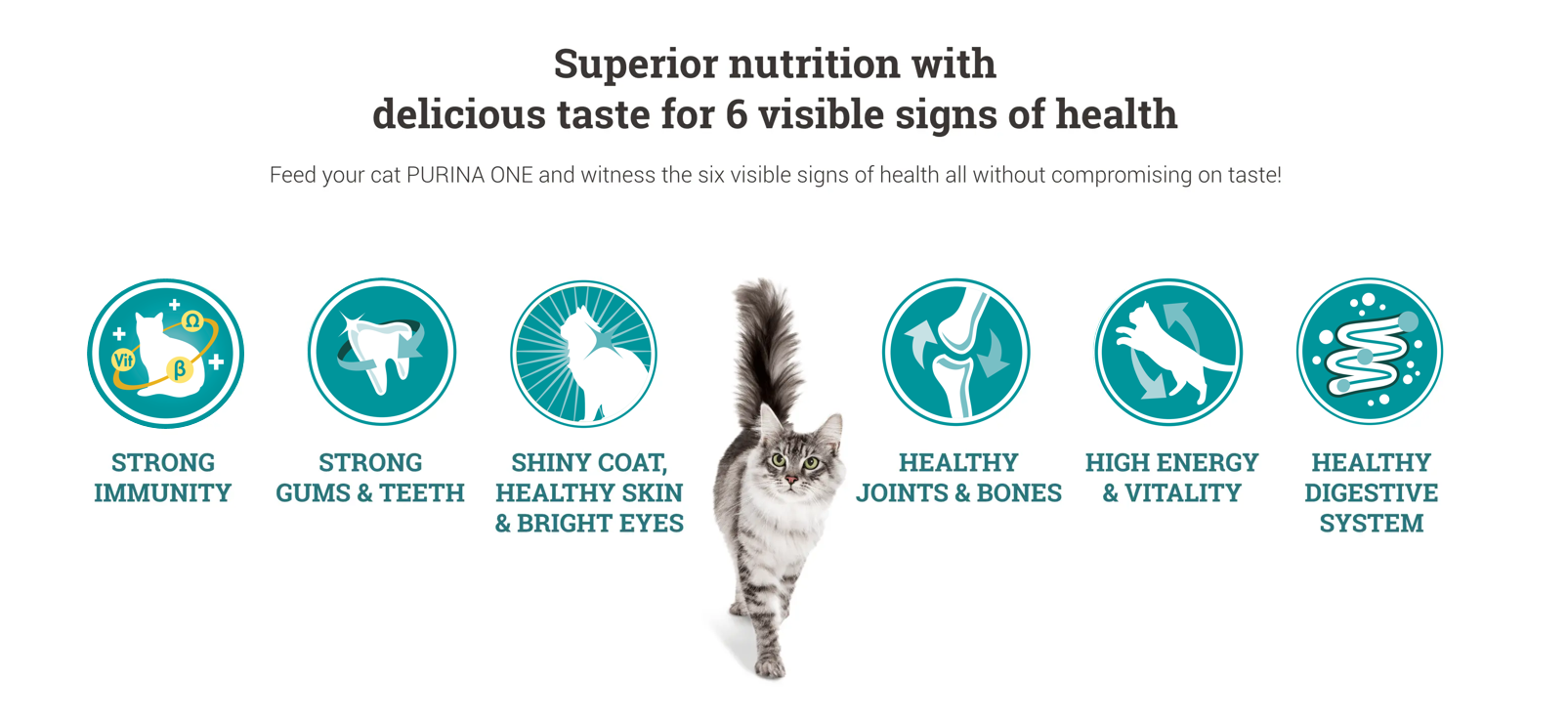 purina one six visible signs purina one six visible signs