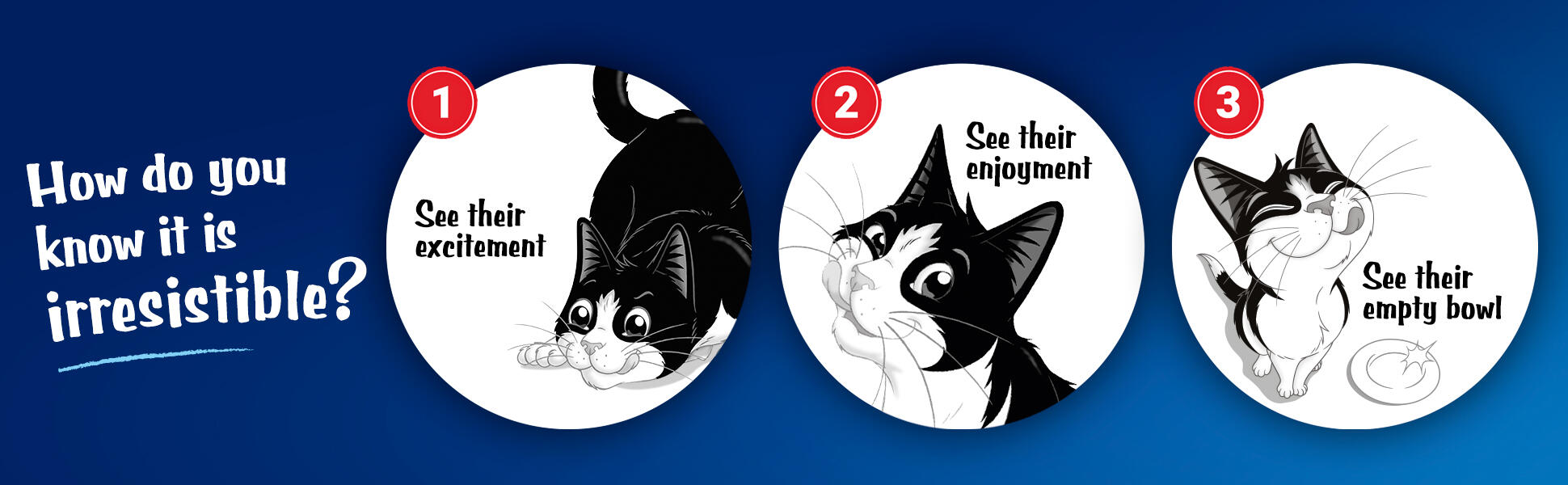 banner-2-felix felix cats