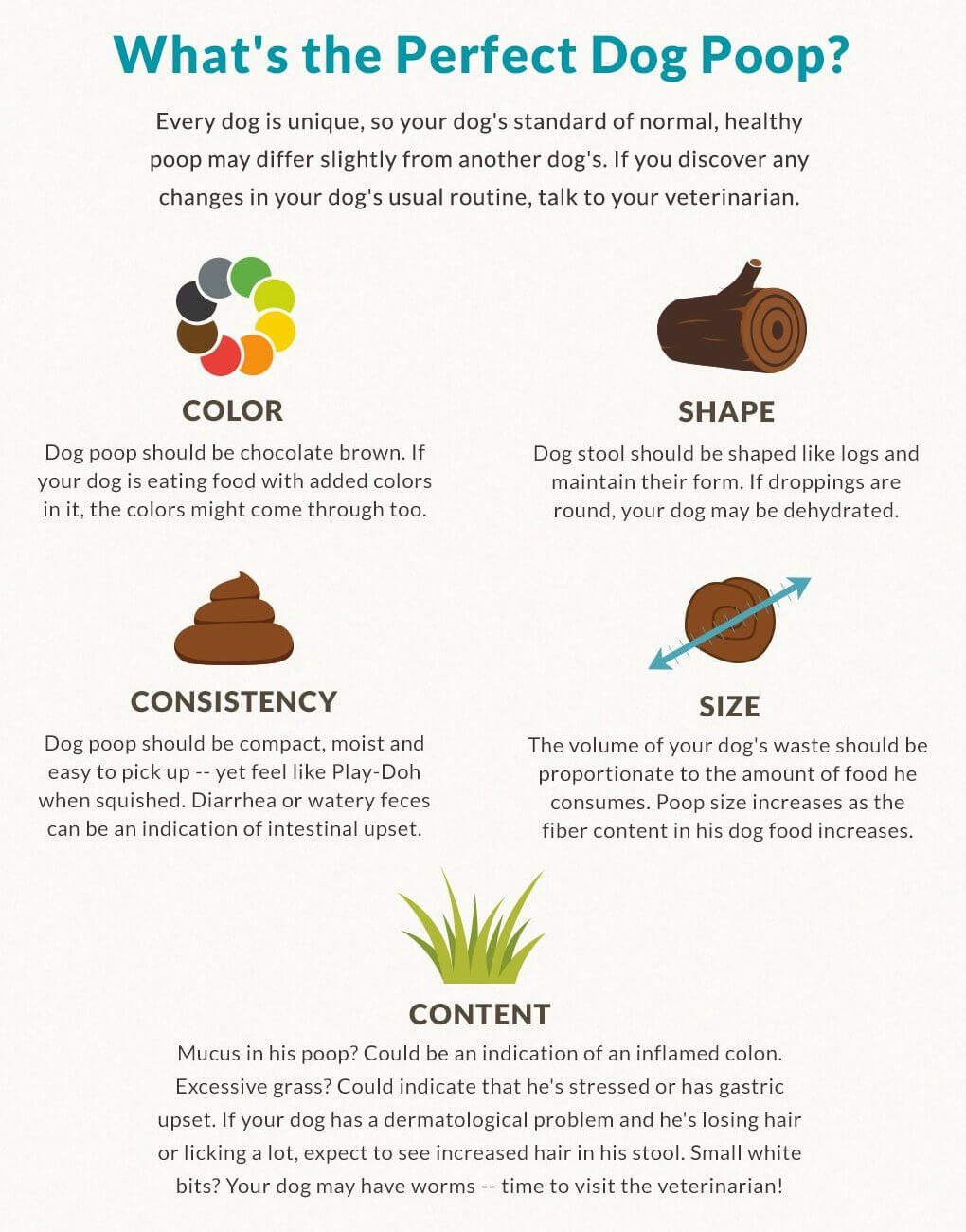 Perfect dog poop infographic Perfect dog poop infographic
