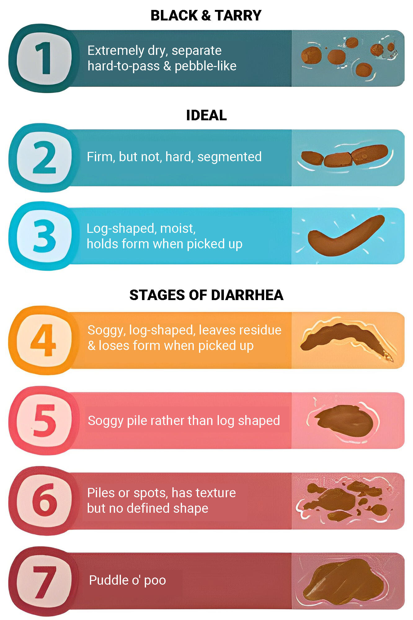 Dog Poop Consistency chart Dog Poop Consistency chart